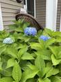 85 Maple Ave - Photo 28