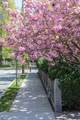 157 Brattle Street - Photo 25