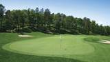 15 Broadleaf - Photo 15