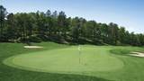 15 Broadleaf - Photo 16