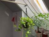 96 Harrishof St - Photo 15