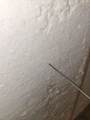 95 Leicester St. - Photo 4