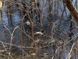 31 Swing Drive - Photo 29
