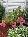 31 Glen Echo Shore Rd - Photo 34