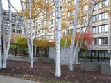 1731 Beacon St - Photo 17