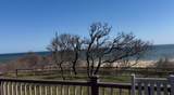 325 Nauset Light Beach Road - Photo 7