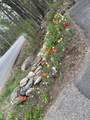 511 E County Rd - Photo 42