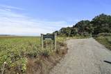 1 Trouant's Island - Photo 10