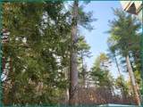 58 Maplewood Drive - Photo 8