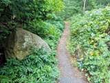 47 Galleon Dr - Photo 41