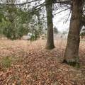 514 Dewey St - Photo 40