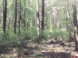 70 Wheaton Avenue - Photo 42