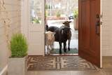 67 Border St - Photo 6