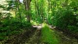 0 Brooks Pond Rd (Entire Parcel) - Photo 11