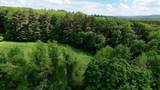 0 Brooks Pond Rd (Large Parcel) - Photo 3
