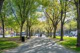 192 Commonwealth Ave - Photo 25