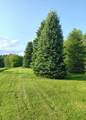 16 Brigham Rd - Photo 39