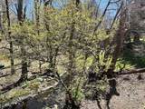 36 Dexter Rd - Photo 32