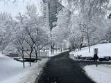 2 Earhart St - Photo 11