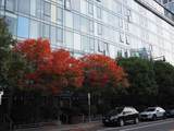 2 Earhart St - Photo 13