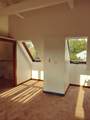 126 Carlisle Street - Photo 9