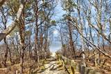 47 Flying Dragon Road - Photo 35