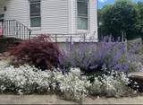 170 Poplar St - Photo 18