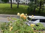 170 Poplar St - Photo 19