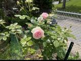 170 Poplar St - Photo 20