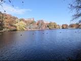 8 Juniper St - Photo 22