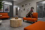 240 Devonshire Street - Photo 28