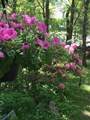38 Revere Street - Photo 10