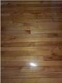 125 Hamilton Street - Photo 5