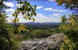 17 Gorham Rd - Photo 8