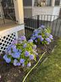 258 Belmont St - Photo 15