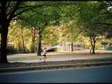 188 Brookline Ave - Photo 42