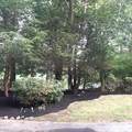 2399 Bay Road - Photo 38