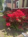 93 Lawton St - Photo 20