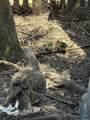 151 Summer St - Photo 38