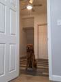 32 Bellevue Street - Photo 13