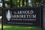 772 Centre Street - Photo 34