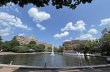 6 Canal Park - Photo 9