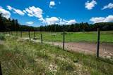 38 Blueberry Hill Rd - Photo 35