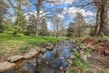 55 Arborough - Photo 29