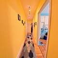 1 O'leary Way - Photo 7