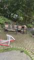 747 River St - Photo 30