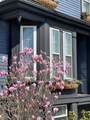198 Byron St - Photo 2