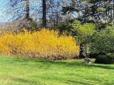 61 Arnold Rd - Photo 31