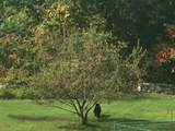 61 Arnold Rd - Photo 32