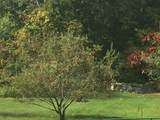 61 Arnold Rd - Photo 33
